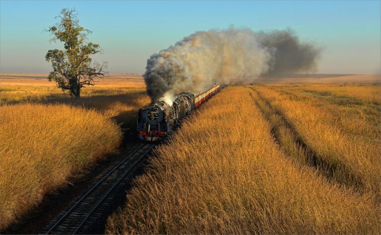 Donald Brotherston - Grassland-train